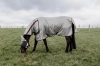 derka przeciw owadom Mesh Fly Rug Classic