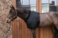 Chest Protection3.webp