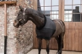 Chest Protection.webp