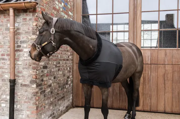 Chest Protection.webp