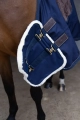 Chest Expander Waterproof4.webp