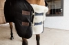 Chest Expander Vegan Sheepskin.webp