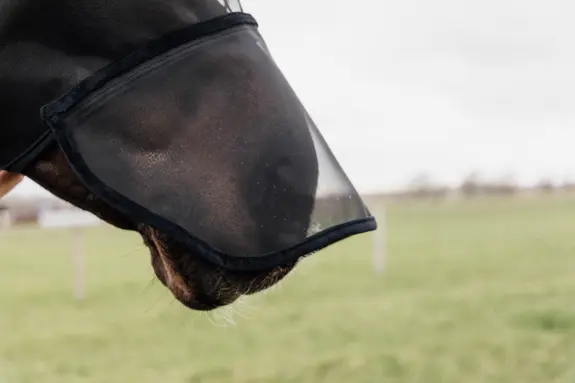 Kentucky maska Fly Mask Classic with ears & nose