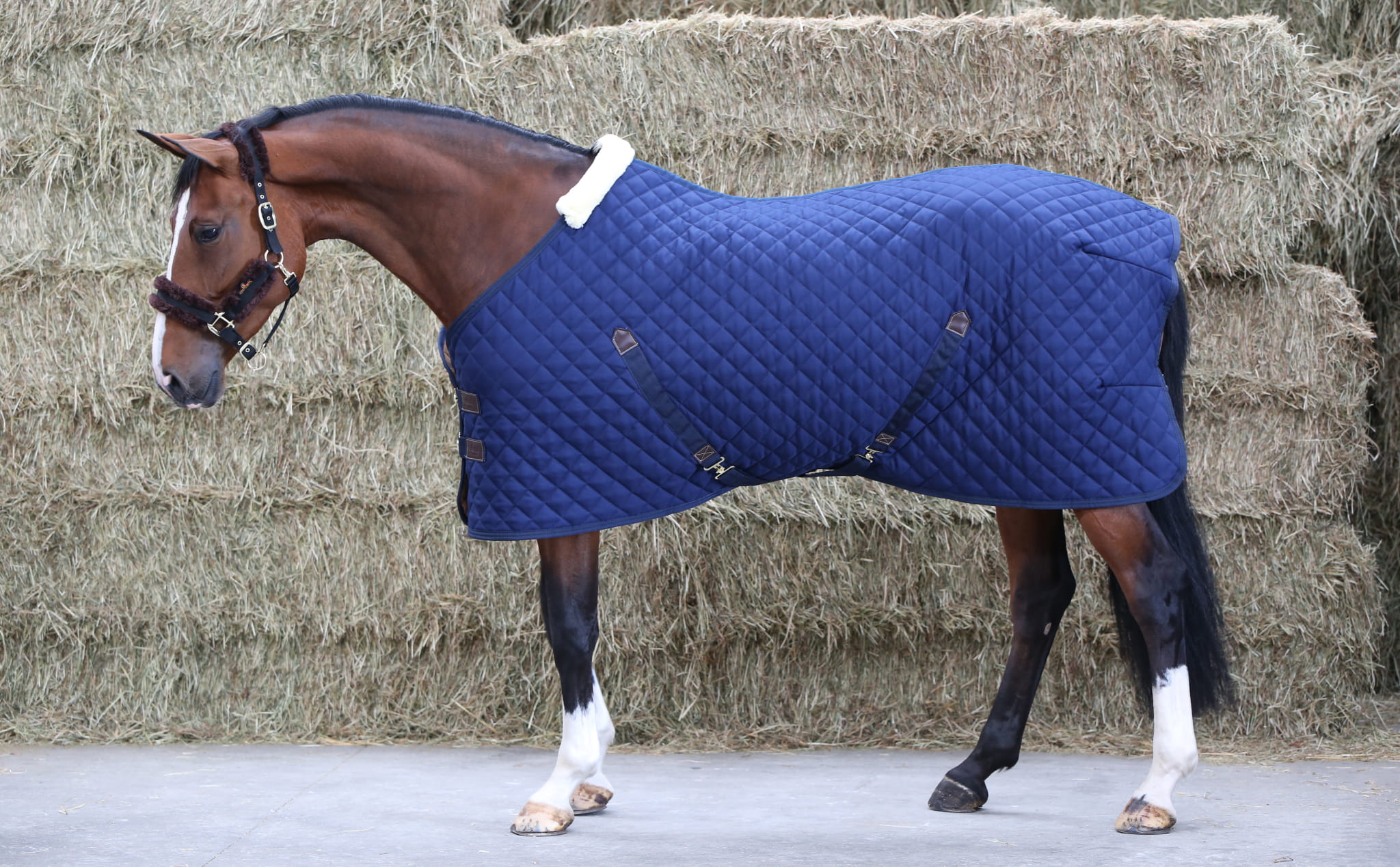 Kentucky StableRug 400g