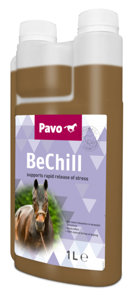Pavo BeChill.png