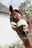 Nylon Sheepskin Halter Soft5.webp