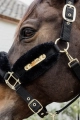 Nylon Sheepskin Halter Soft3.webp