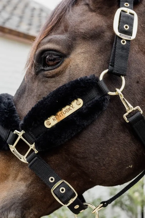 Nylon Sheepskin Halter Soft3.webp
