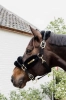 Nylon Sheepskin Halter Soft.webp