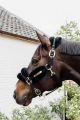 Nylon Sheepskin Halter Soft.webp