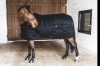 kentucky derka Stable Rug Classic 300g