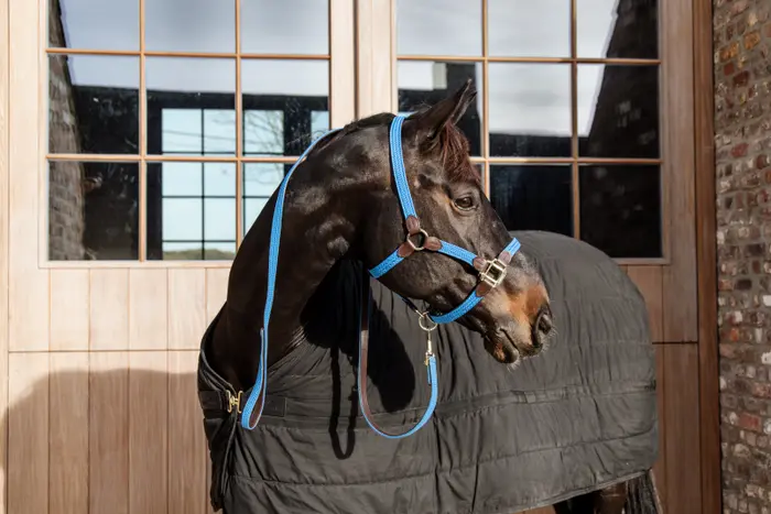 Plaited Nylon Halter.webp