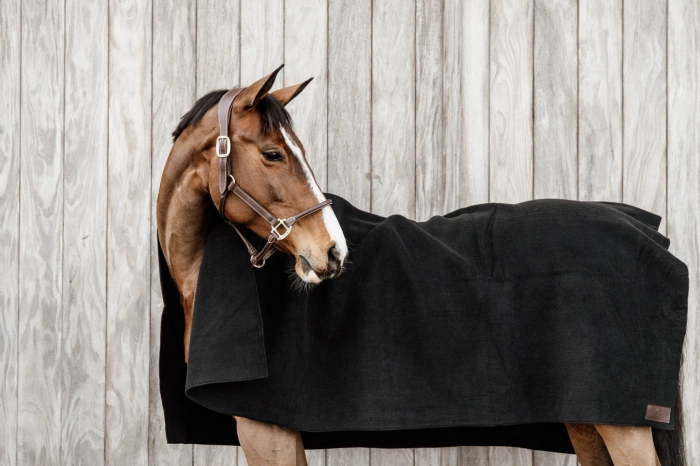 koc derka polarowa kentucky black