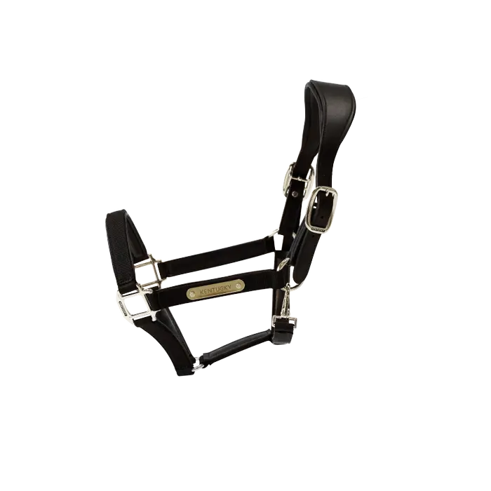 Nylon Anatomic9.webp