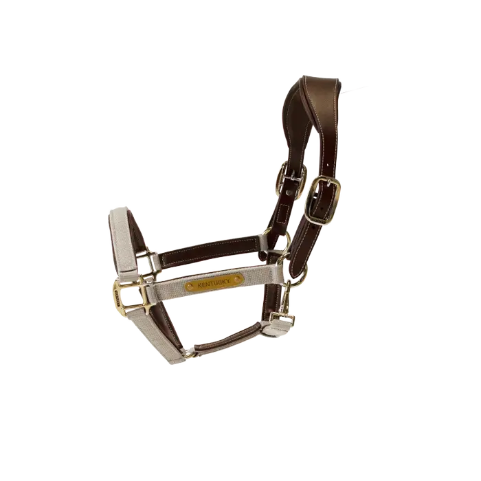 Nylon Anatomic4.webp