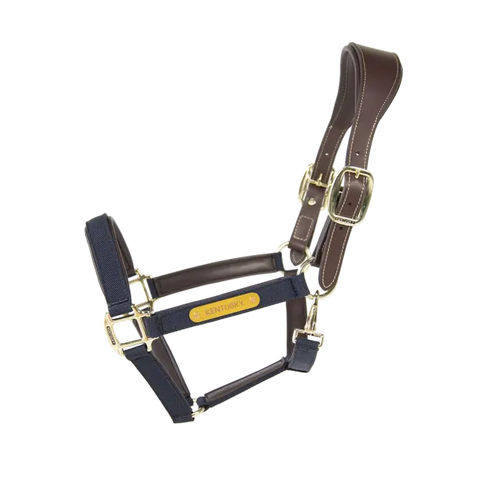 Nylon Anatomic1.webp
