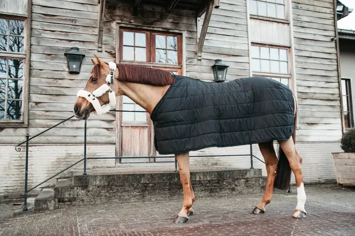 Kentucky podderka Under Rug Skin Friendly 300g czarna