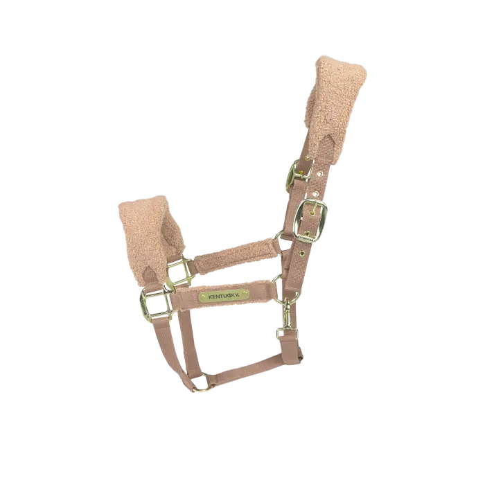 ef. 42573-32a.webp