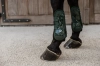 Kentucky ochraniacze Tendon Boots bamboo Elastic dark green