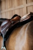 kentucky czapraki hunter black