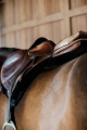 kentucky czapraki hunter black