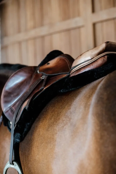 kentucky czapraki hunter black