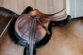 czaprak kentucky skokowy hunter z futrem czarny