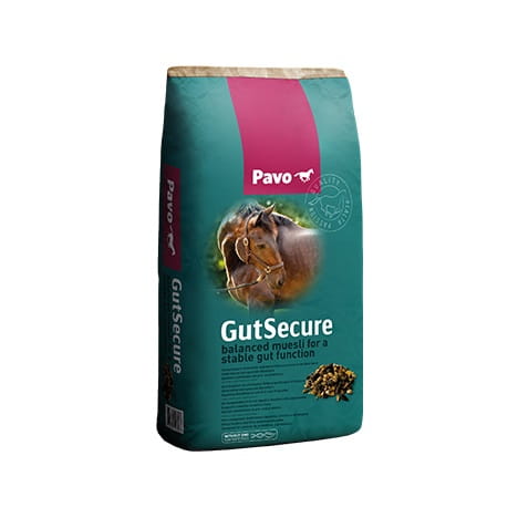 Pavo GutSecure.jpg