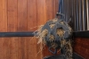 ref. 82153-08-L 2.webp