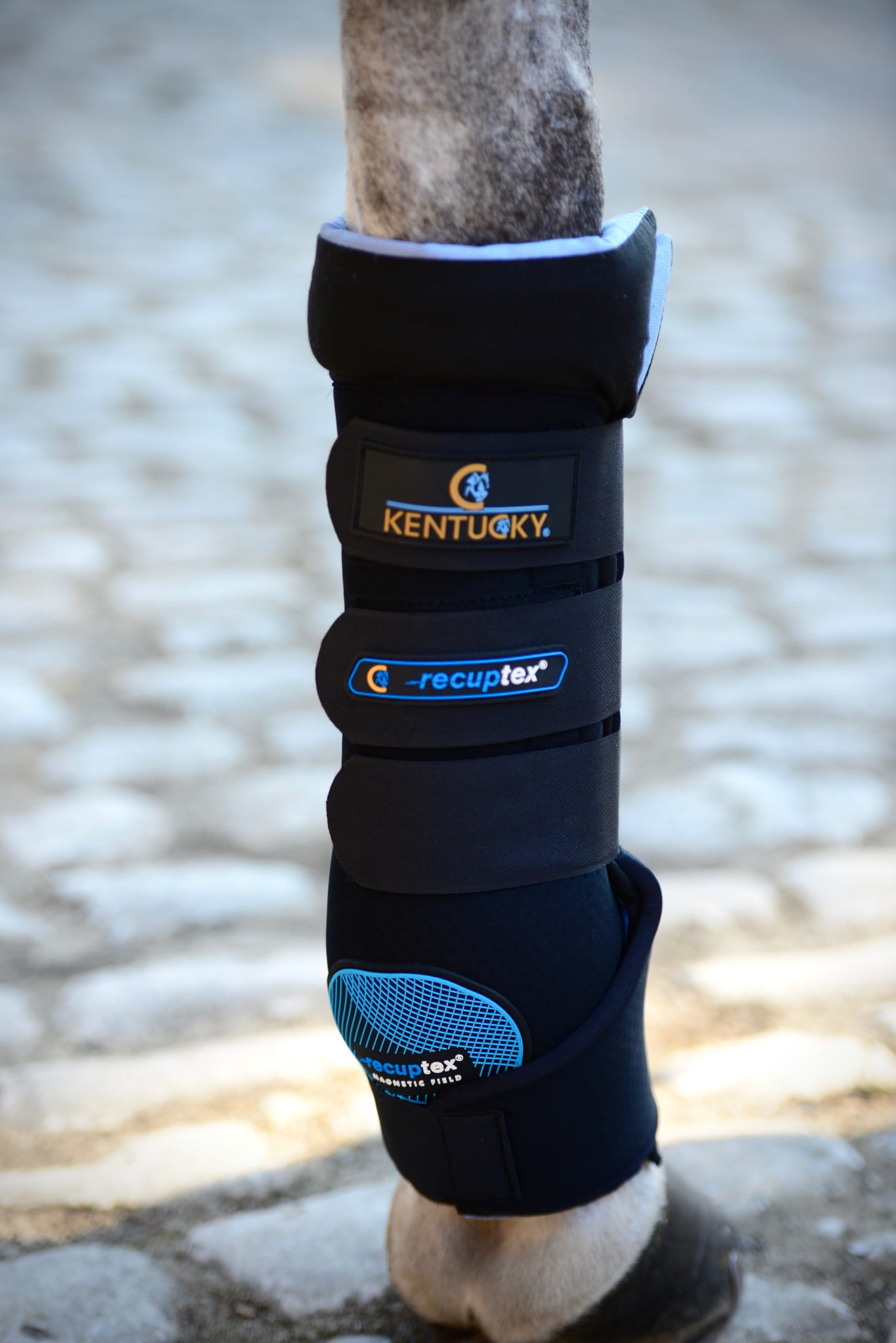 Recuptex Magnetic Stable Boots kentucky