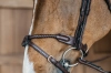 Dy'on ogłowie Braided Flash Noseband Bridle DYARAYBRF