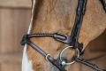 Dy'on ogłowie Braided Flash Noseband Bridle DYARAYBRF