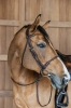 Dy'on ogłowie Braided Flash Noseband Bridle DYARAYBRF