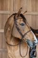 Dy'on ogłowie Braided Flash Noseband Bridle DYARAYBRF