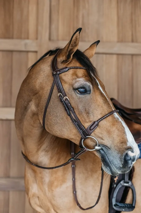 Dy'on ogłowie Braided Flash Noseband Bridle DYARAYBRF