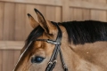DYARAYBLF Dy'on ogłowie Braided Flash Noseband Bridle