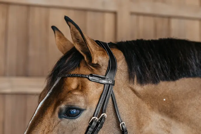 DYARAYBLF Dy'on ogłowie Braided Flash Noseband Bridle