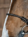 Dy'on ogłowie Braided Flash Noseband Bridle DYARAYBLF