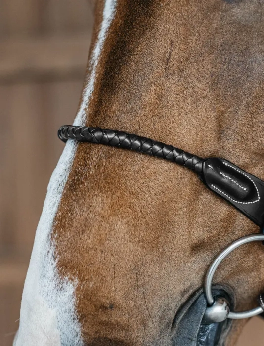 Dy'on ogłowie Braided Flash Noseband Bridle DYARAYBLF