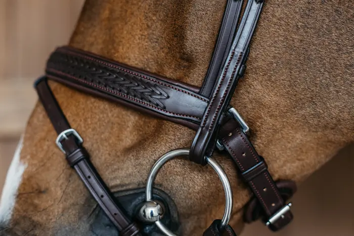 Dy'on ogłowie Plaited Flash Noseband Bridle with Pull back