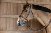 NEAJAZBRC Dy'on ogłowie Plaited Flash Noseband Bridle with Pull back