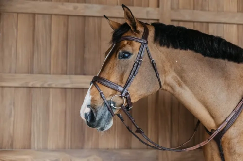 NEAJAZBRC Dy'on ogłowie Plaited Flash Noseband Bridle with Pull back