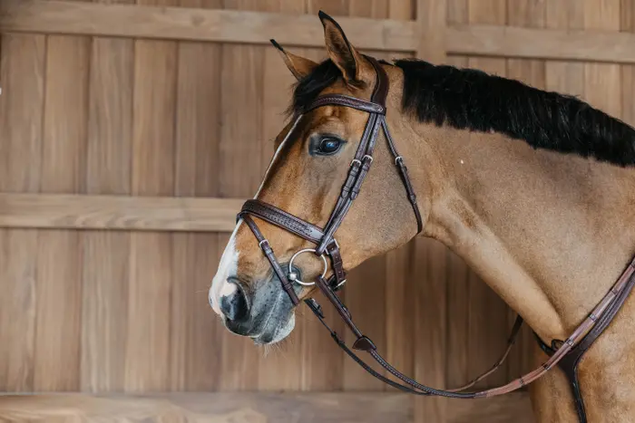 NEAJAZBRC Dy'on ogłowie Plaited Flash Noseband Bridle with Pull back