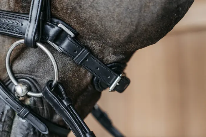 NEAJAZBLC Dy'on ogłowie Plaited Flash Noseband Bridle with Pull back