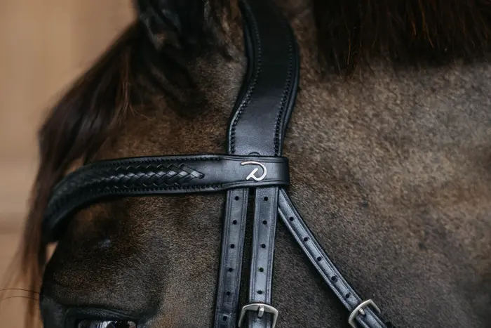 Dy'on ogłowie Plaited Flash Noseband Bridle with Pull back