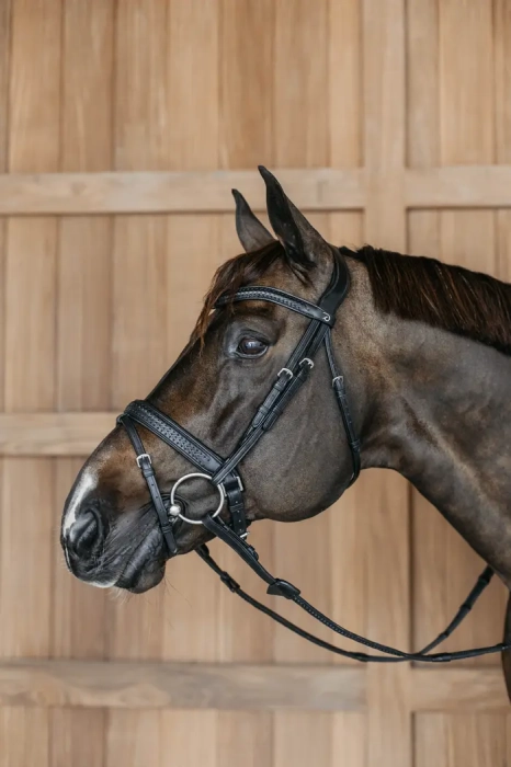 Dy'on ogłowie Plaited Flash Noseband Bridle with Pull back NEAJAZBLC