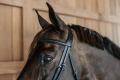 Dy'on ogłowie Plaited Flash Noseband Bridle New English NEAOAKBLP