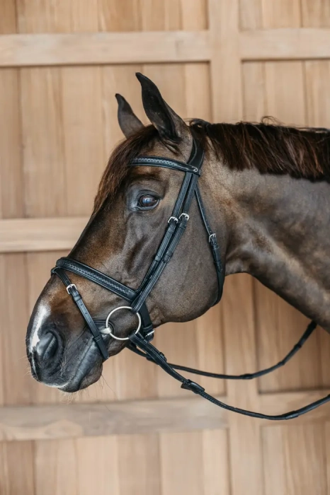 Dy'on ogłowie Plaited Flash Noseband Bridle New English NEAOAKBLP