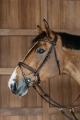 NEAOAKBRP Dy'on ogłowie Plaited Flash Noseband Bridle New English