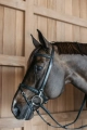 Dy'on ogłowie Training Bridle WOXXIIBLC 1.webp